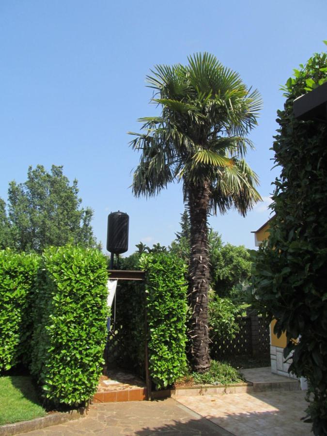 Apartments Zvezdica*** With Garden Zambratija (Istria) Exterior foto